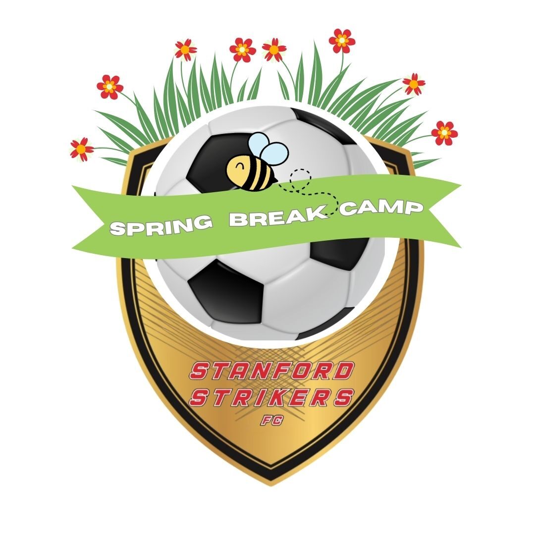Spring Break Camp Logo (1)